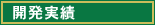 開発実績